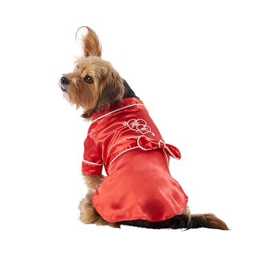 A dog wears a robe from PetSmart's Valentine's Day 2021 collection including valentines dog toys.