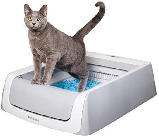 The 7 Best Cat Litter Boxes For Odor Control In 2022