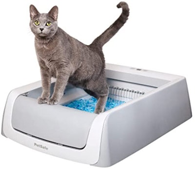 PetSafe ScoopFree Self Cleaning Cat Litter Box System