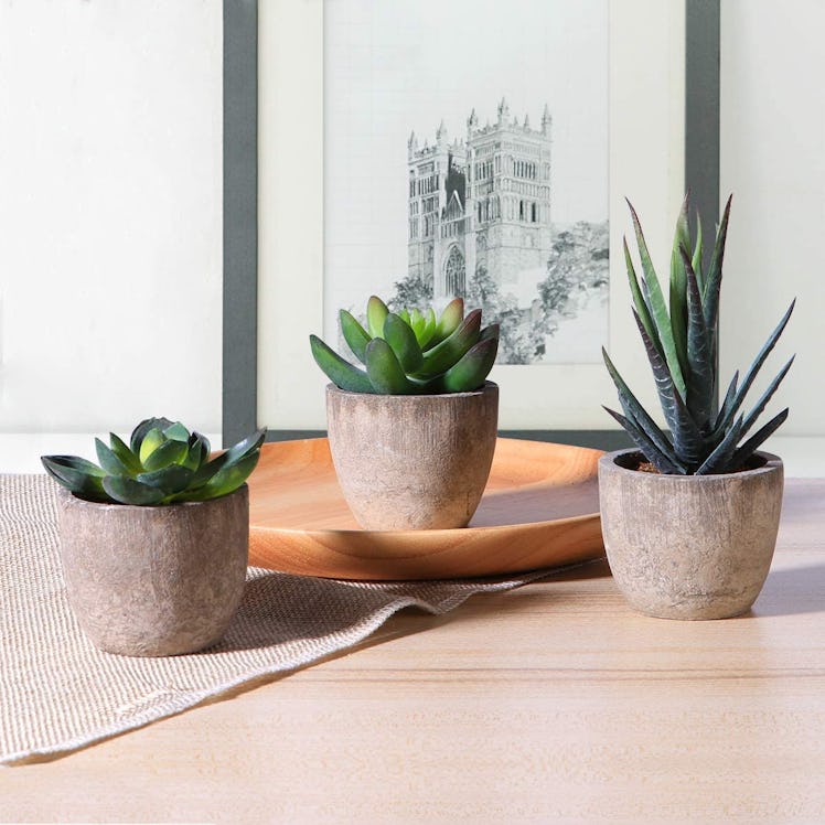 OUNONA Faux Succulents (3-Pack)