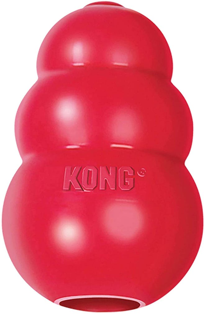 KONG Classic Dog Toy