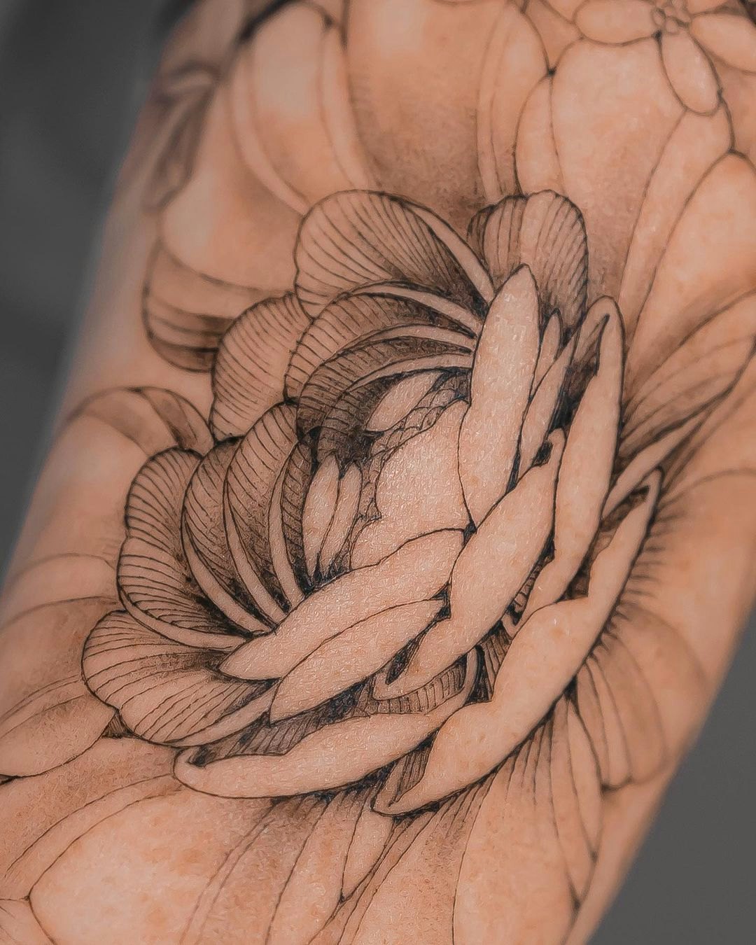 A Japanese tattoo style peony super excited about how it turned out   rProCreate