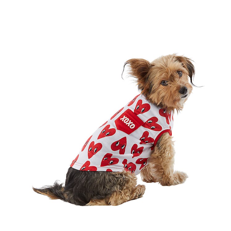 This heart shirt is part of the PetSmart's Valentine's Day 2022 collection. 