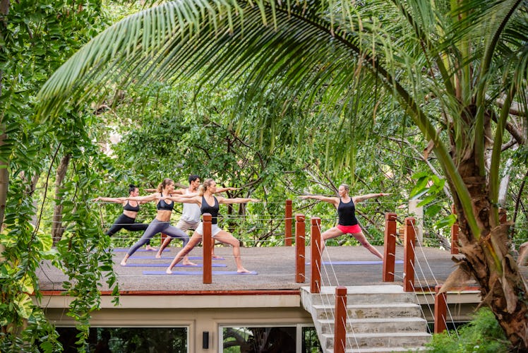 people doing yoga in a treetop canopy