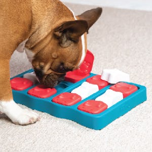 Nina Ottosson by Outward Hound Dog Treat Puzzle