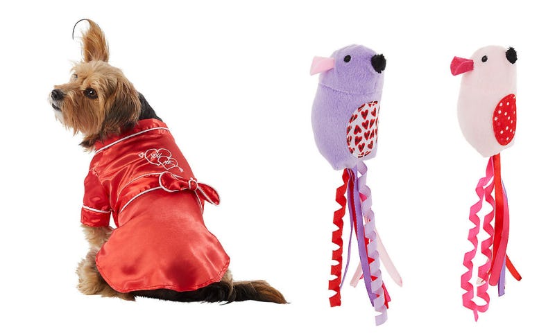 PetSmart’s Valentine’s Day 2022 Collection Includes A Silk Dog Robe