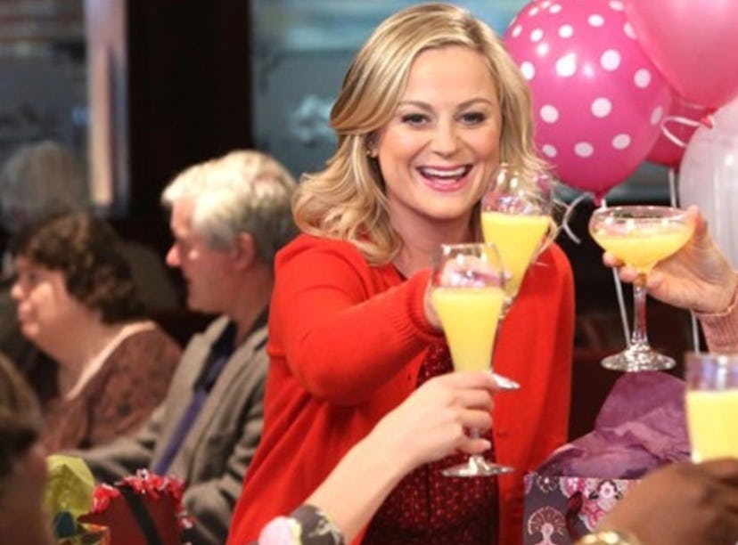 Amy Poehler celebrates Galentine's Day on 'Parks and Recreation' like the Club Wyndham promo package...