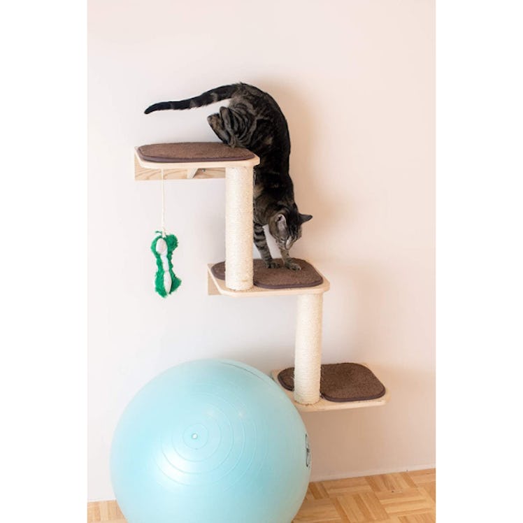 Armarkat Cat Wall Climber Series: Steps W1907C 