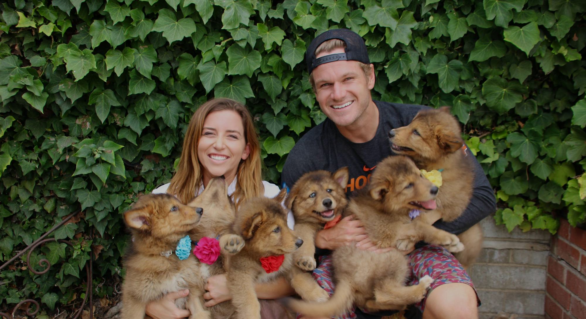 Courtney Udvar-Hazy and her cloned dogs