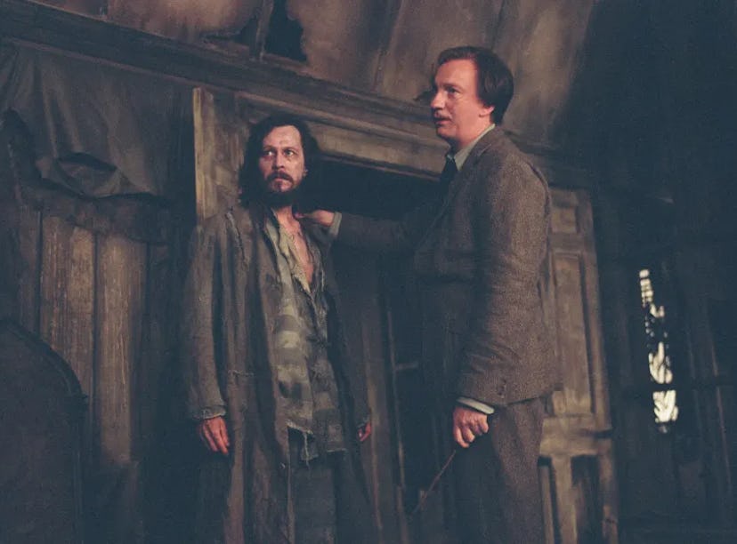 Remus Lupin and Sirius Black are featured in 'All The Young Dudes,' a queer 'Harry Potter' fanfic th...
