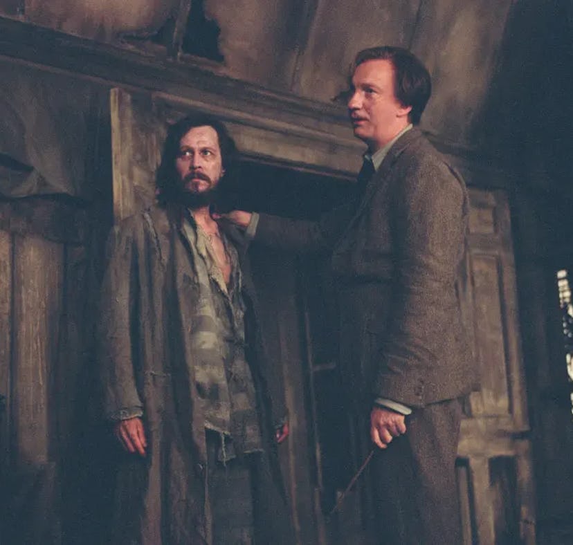 Remus Lupin and Sirius Black are featured in 'All The Young Dudes,' a queer 'Harry Potter' fanfic th...