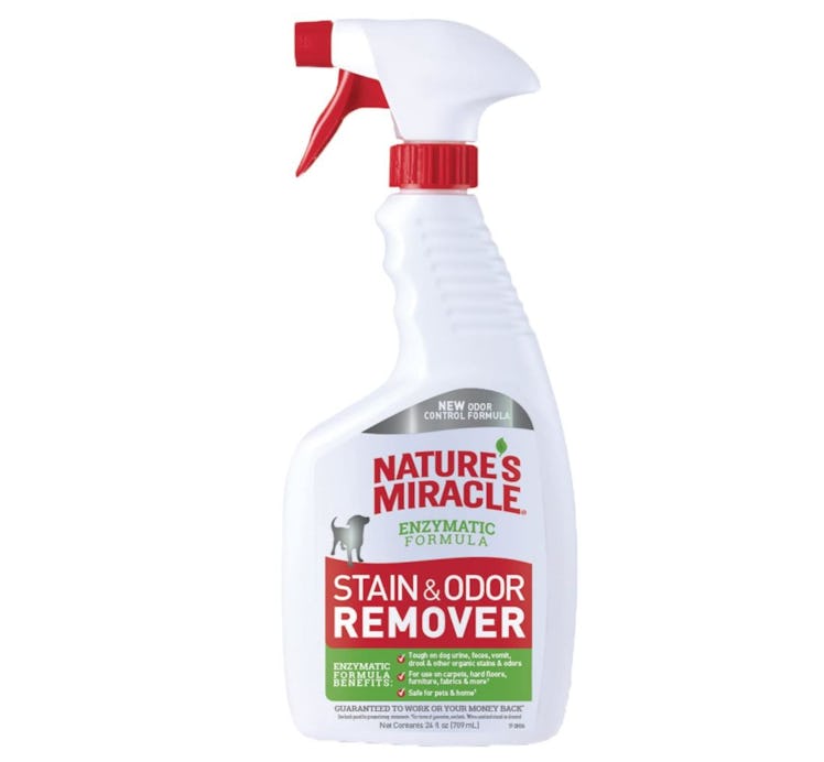 Nature's Miracle Stain & Odor Remover Trigger Spray