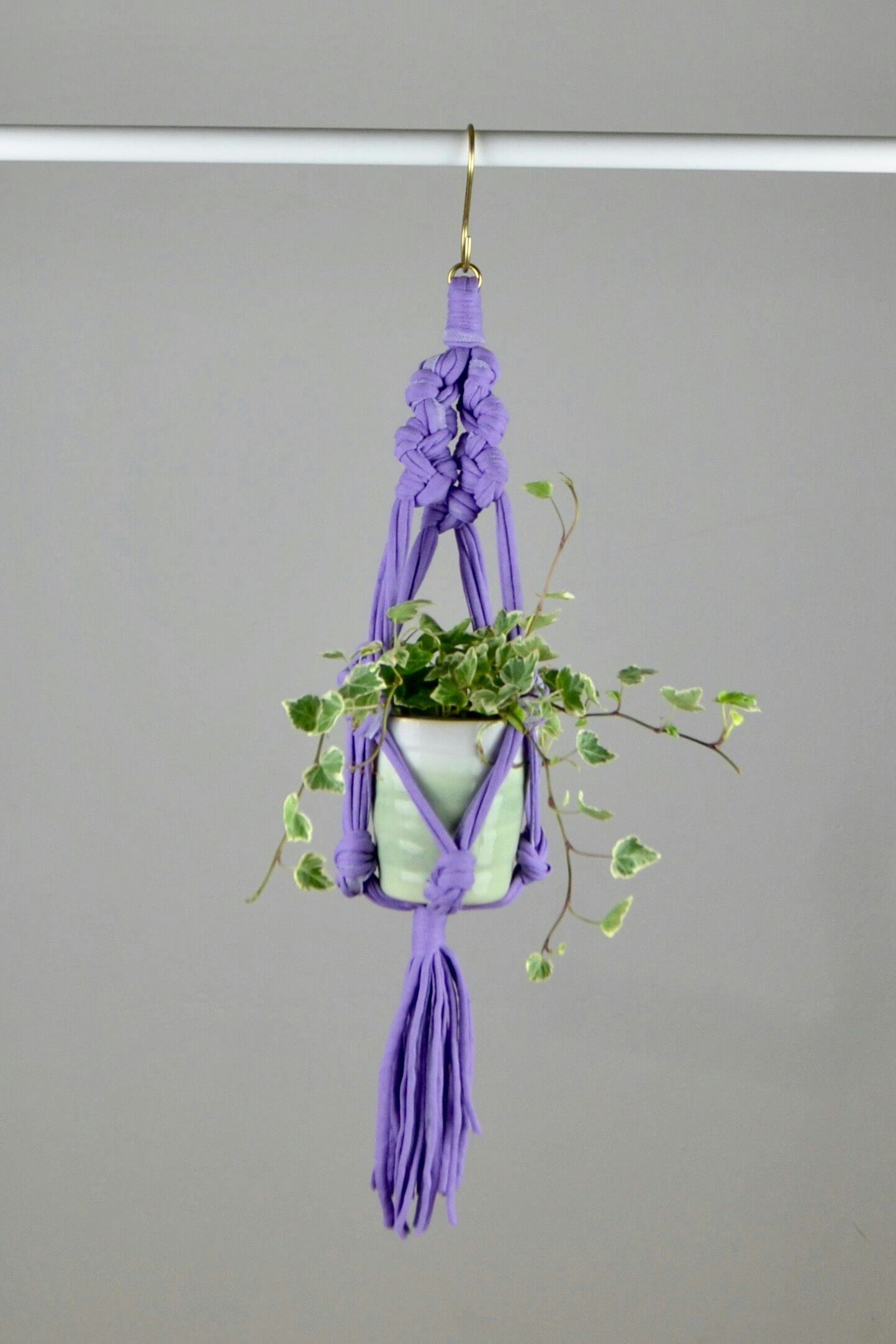 Very Peri Pantone Interiors Violet Plant Hanger