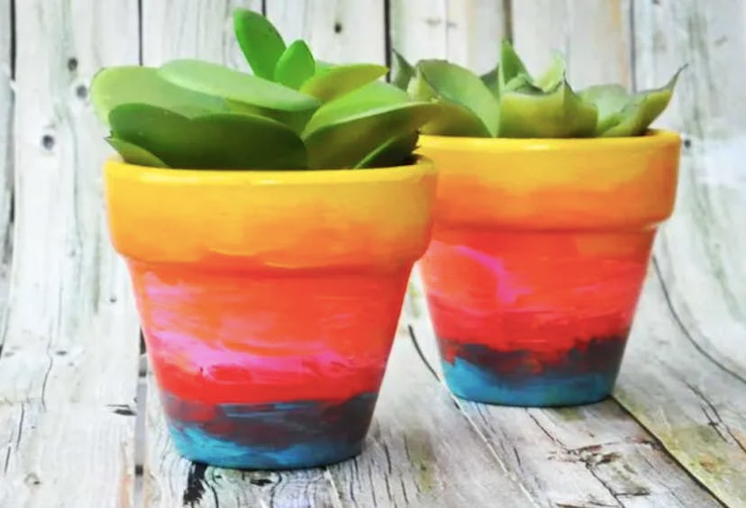 Rainbow flower pots make a great St. Patrick's Day decoration you can DIY