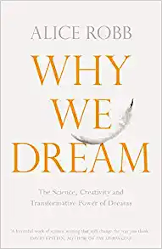 'Why We Dream: The Science, Creativity and Transformative Power of Dreams' by Alice Robb