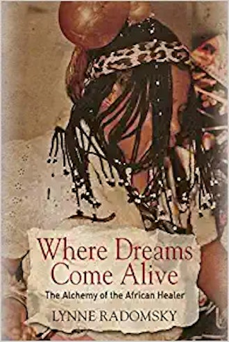 'Where Dreams Come Alive: The Alchemy of the African Healer' by Lynne Radomsky