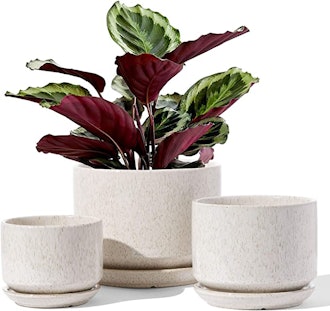 LE TAUCI Ceramic Plant Pots (Set of 3)