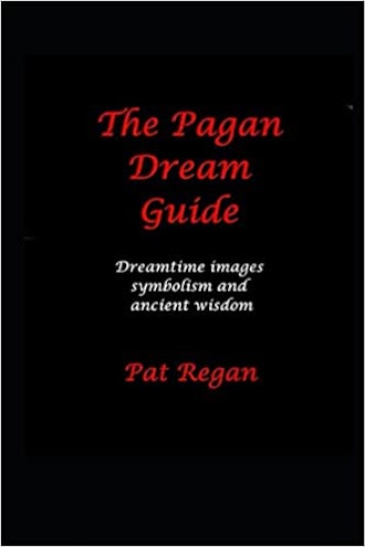 'The Pagan Dream Guide: Dreamtime Images Symbolism and Ancient Wisdom' by Pat Regan