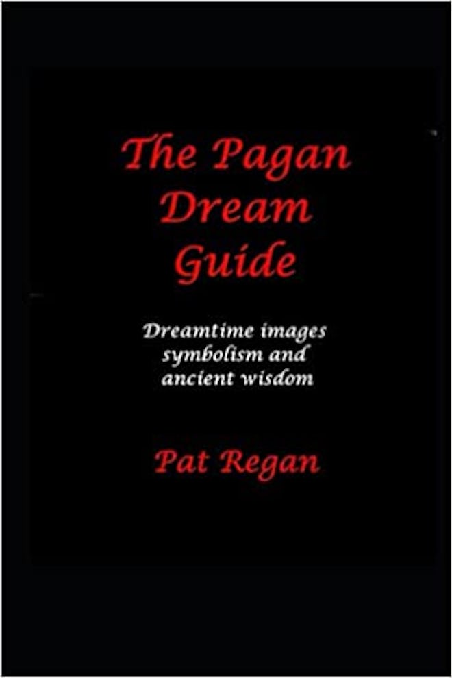 'The Pagan Dream Guide: Dreamtime Images Symbolism and Ancient Wisdom' by Pat Regan