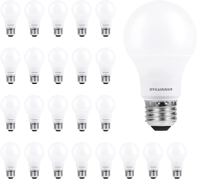 SYLVANIA ECO LED A19 Light Bulb (24-Pack)