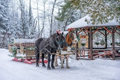 horse drawn sleigh ride from lake clear lodge and retreat