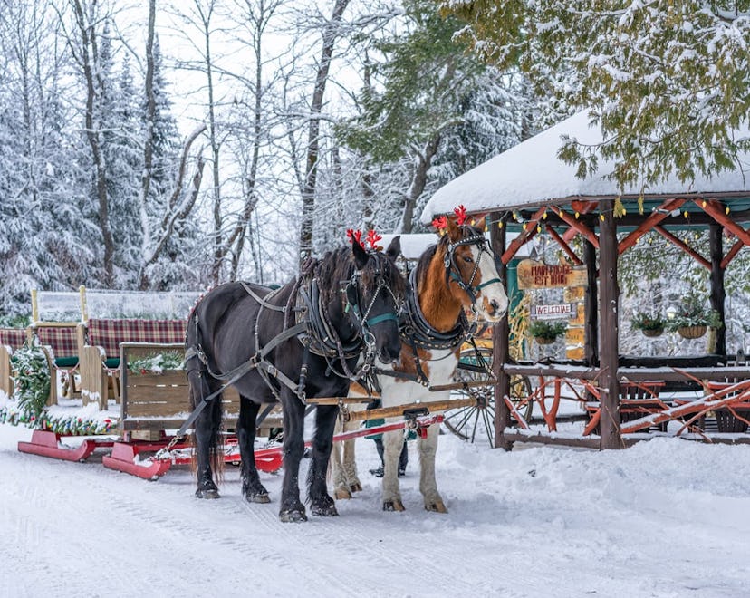 horse drawn sleigh ride from lake clear lodge and retreat