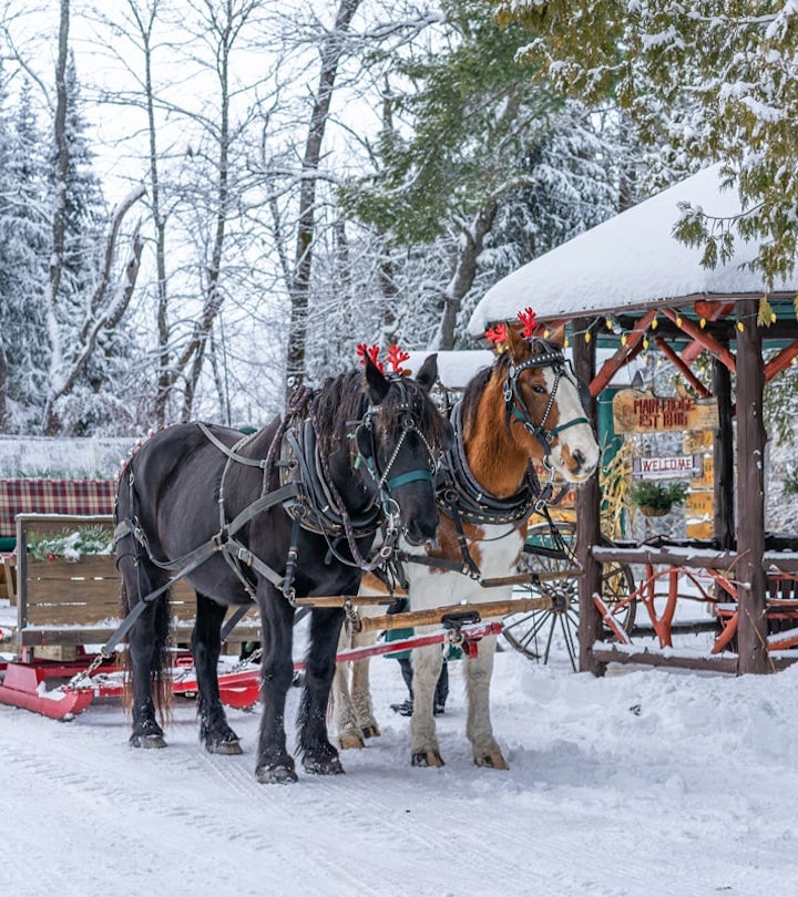 horse drawn sleigh ride from lake clear lodge and retreat