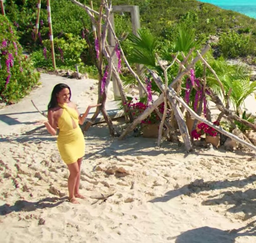 Dariany Santana and the 'Too Hot To Handle' Season 3 cast