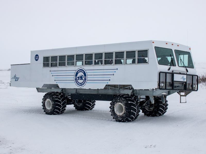 The first EV Tundra Buggy parked on the snow