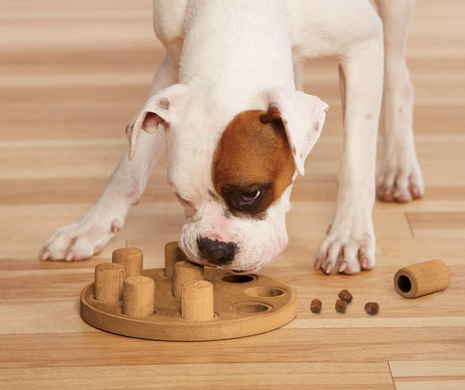 Outward Hound Dog Treat Puzzle