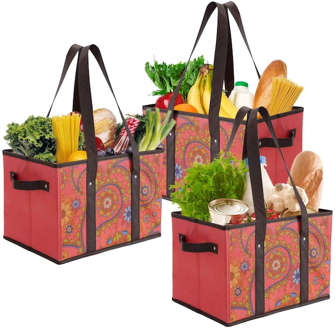 Foraineam Reusable Grocery Bags (3-Pack)