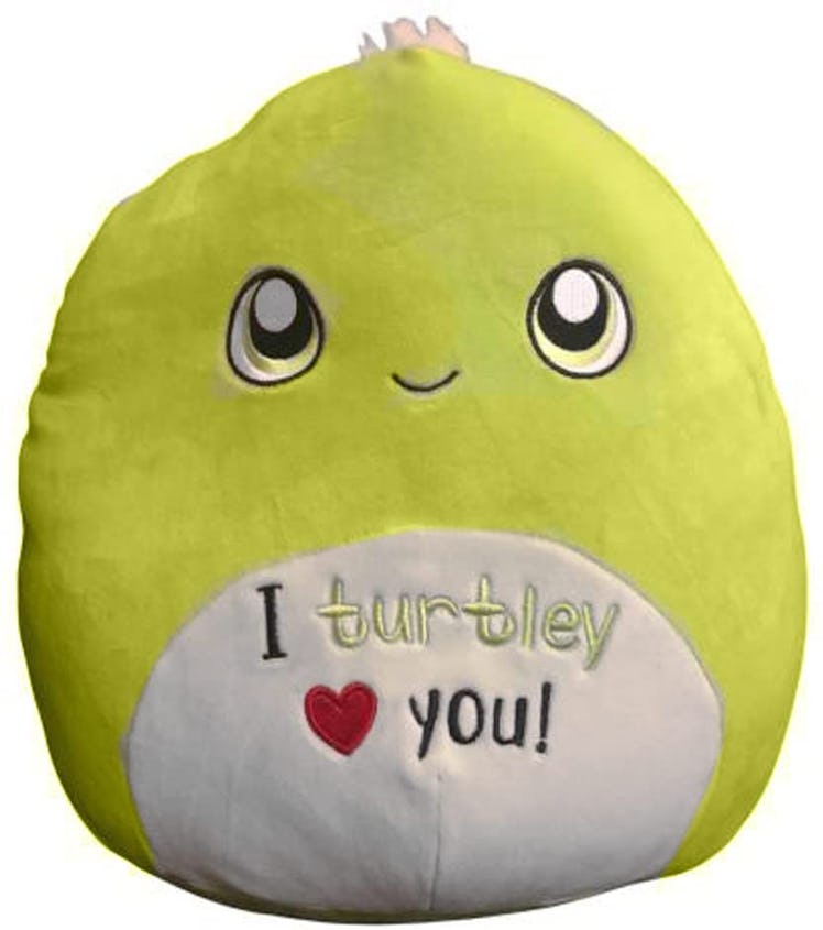 This turtle Squishmallow is one of the Valentine's Day 2022 Squishmallows you can buy. 