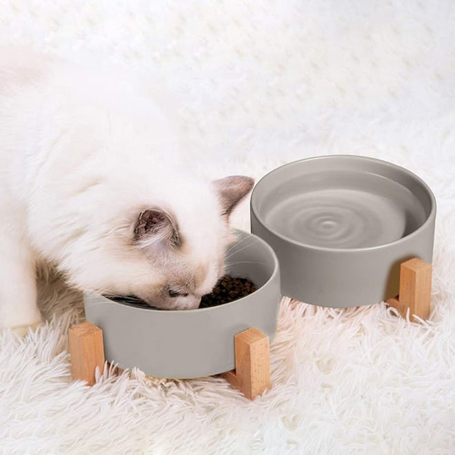 SPUNKYJUNKY Ceramic Pet Food Bowl with Wooden Stand 