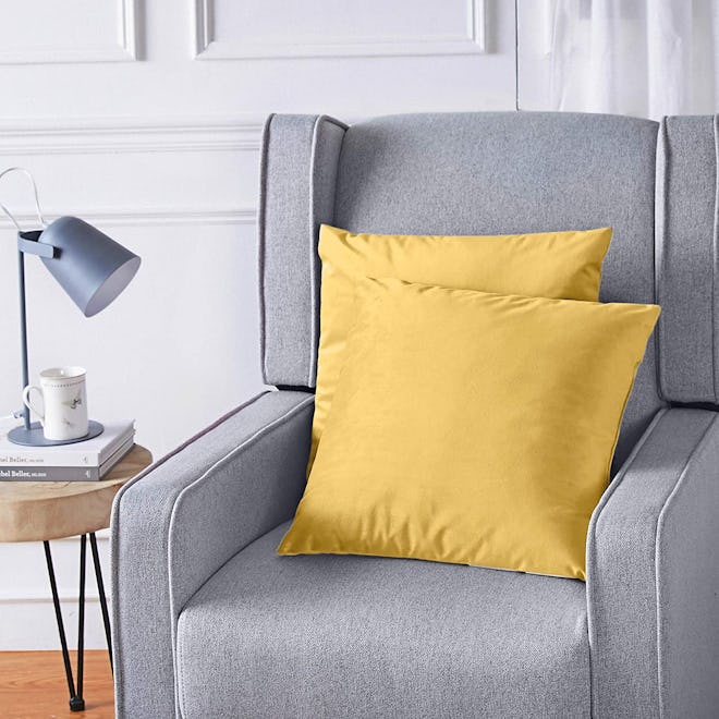 Amazon Basics Velvet Decorative Throw Pillows (2-Pack)
