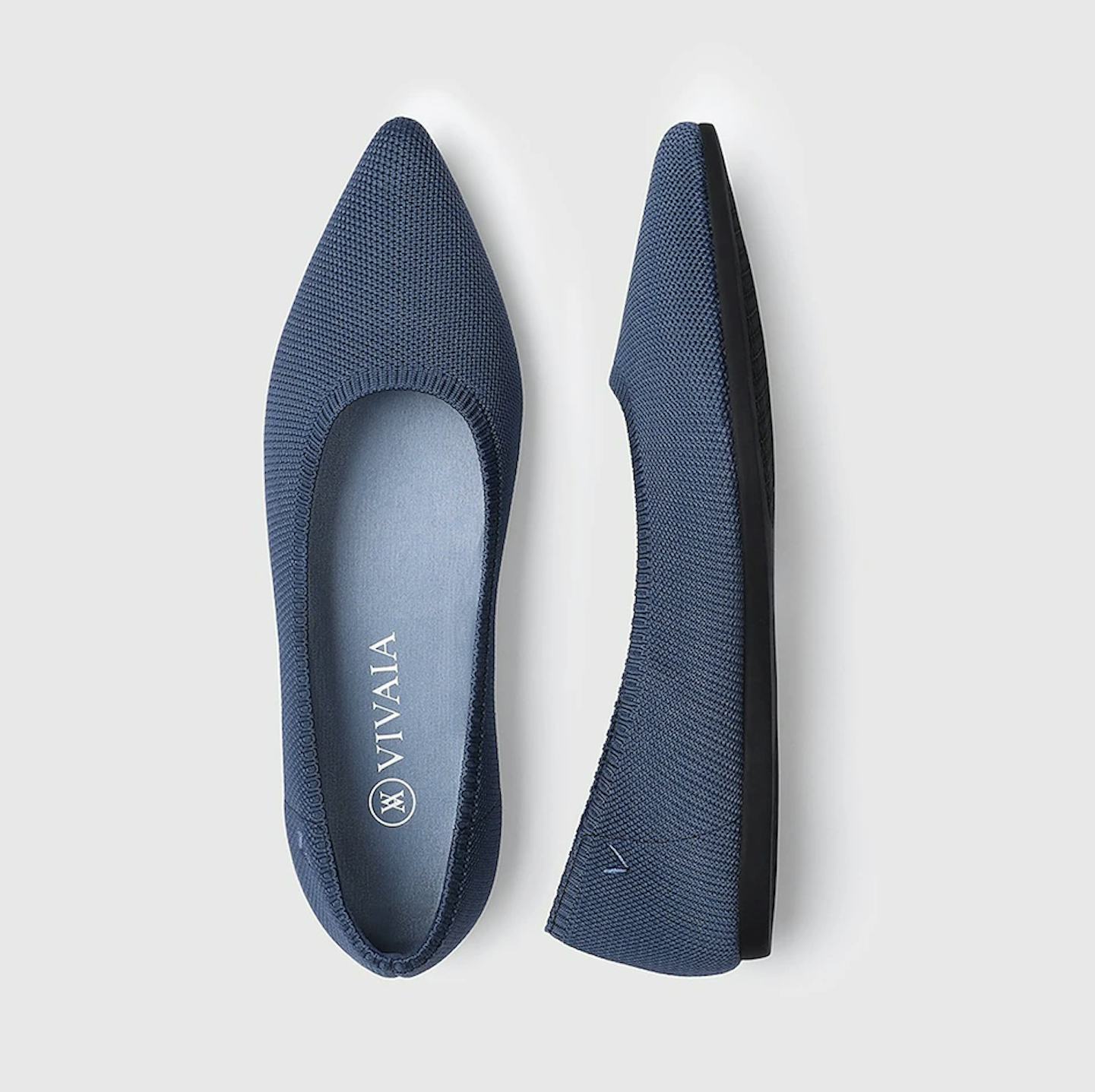 Aria 2.0 Pointed-Toe Ballet Flats