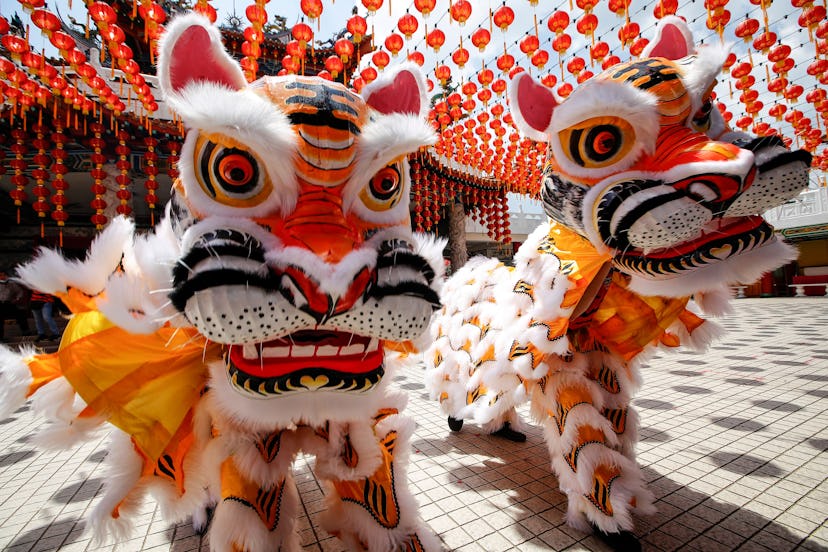 People dressed in costumes perform a traditional tiger dance at a Chinese Temple ahead of the Lunar ...