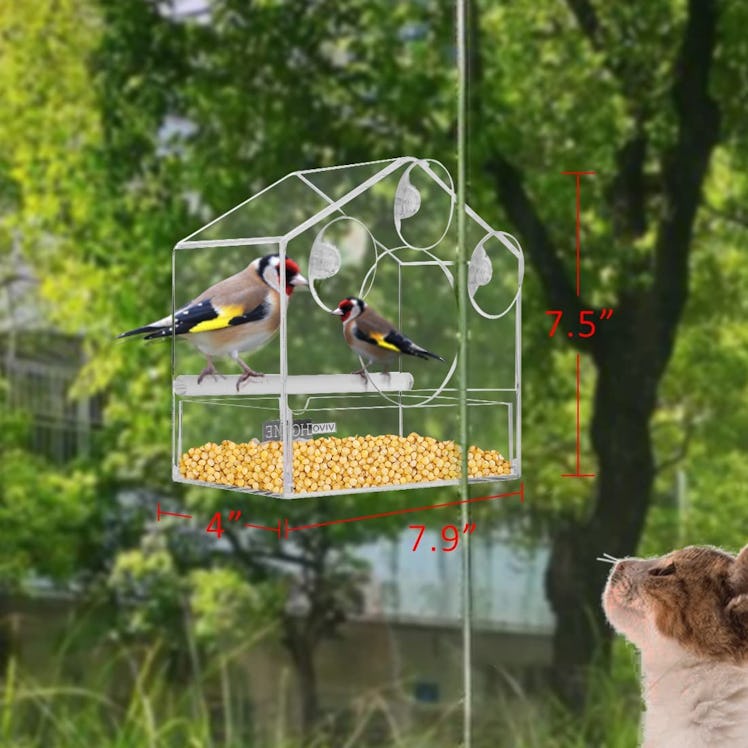 VIVOHOME Acrylic Squirrel-Proof Clear Window Bird Feeder