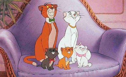 Disney's 'Aristocats' is getting a live-action film and here's what we know so far.