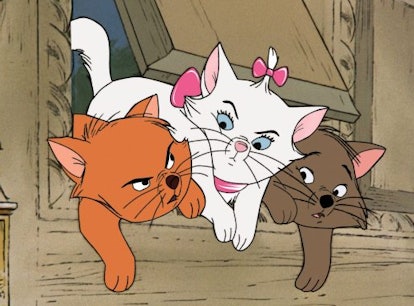 Disney's 'Aristocats' is getting a live-action film and here's what we know so far.