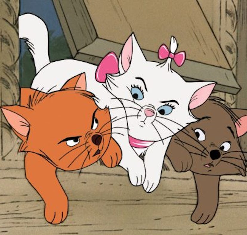 Disney's 'Aristocats' is getting a live-action film and here's what we know so far.