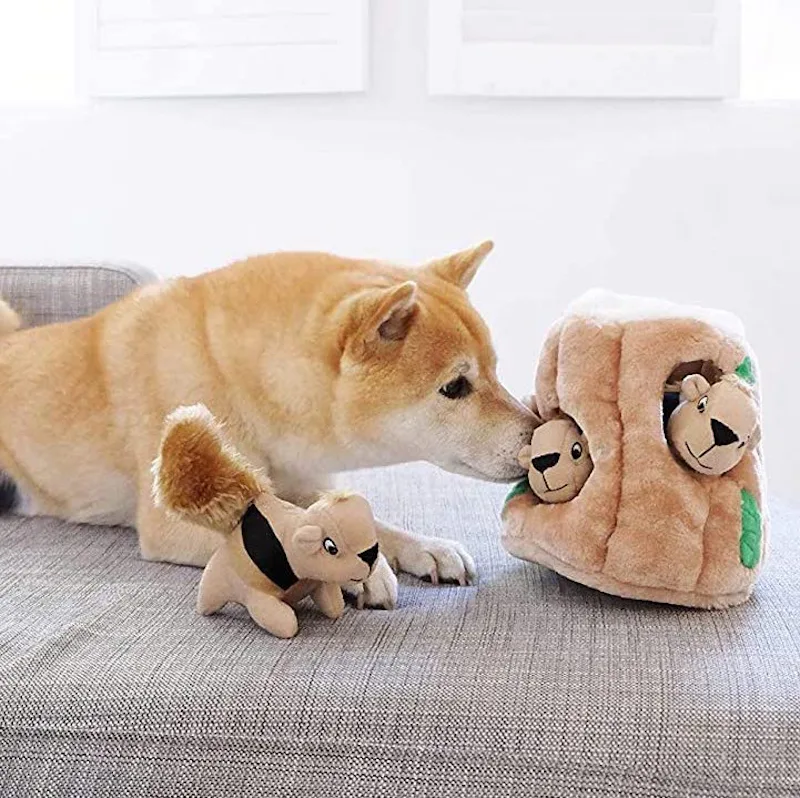 Best Toys For Dogs When Home Alone