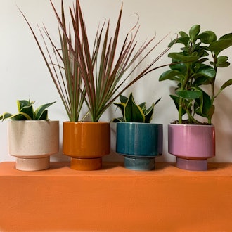 Kaya Shorty Ceramic Planter by Justina Blakeney™