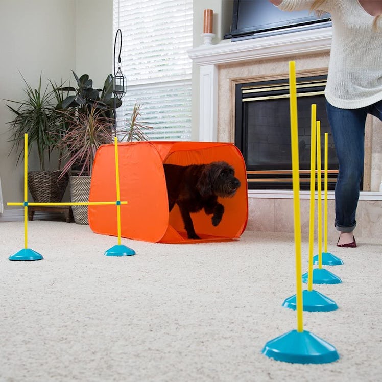 Outward Hound Interactive Dog Training Toys and Agility Kits