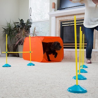 Outward Hound Interactive Dog Training Toys and Agility Kits
