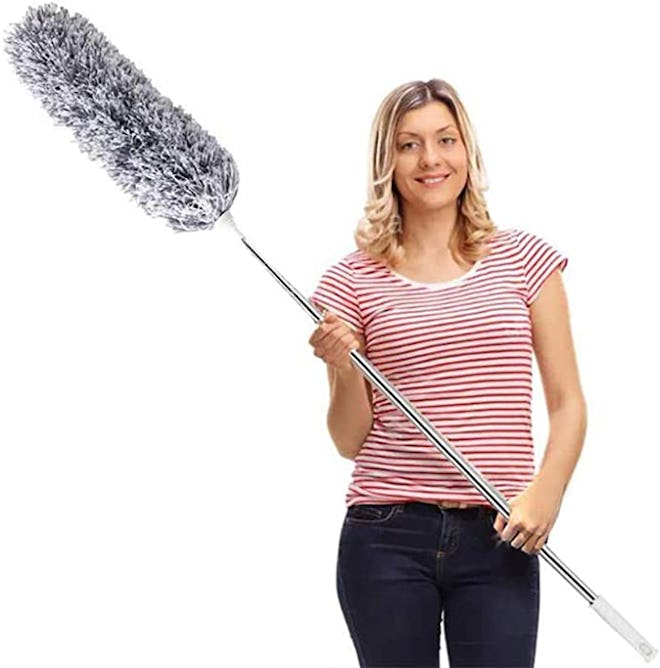 DELUX Extendable Microfiber Feather Duster