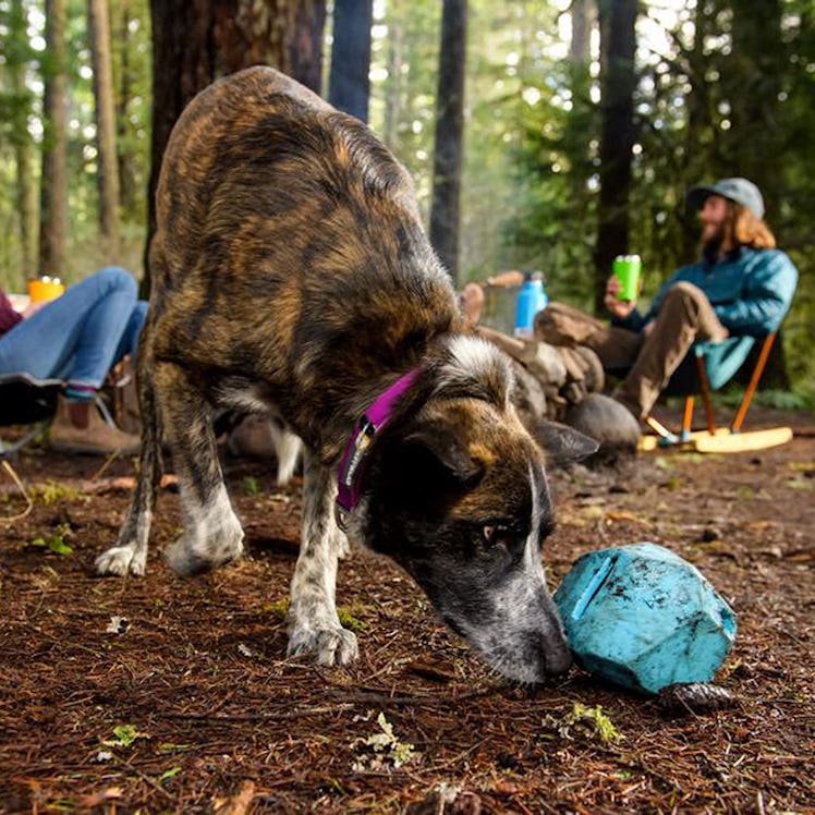 RUFFWEAR, Gnawt-a-Rock Durable Dog Toy