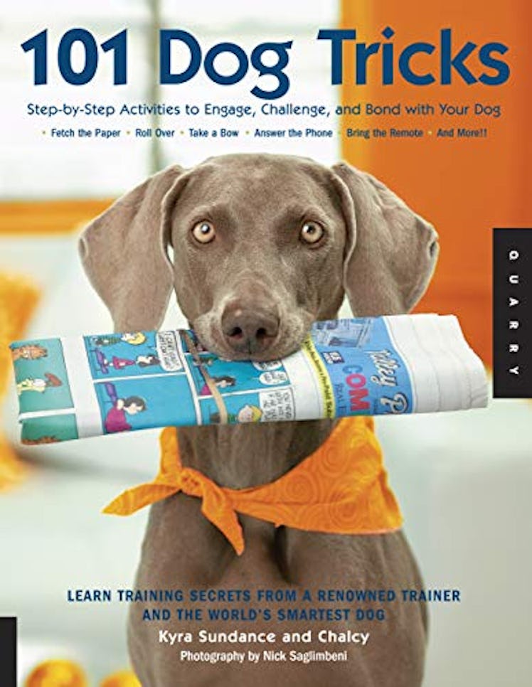 01 Dog Tricks: Step by Step Activities to Engage, Challenge, and Bond with Your Dog 