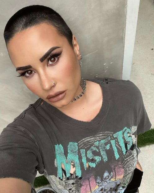 Demi Lovato selfie