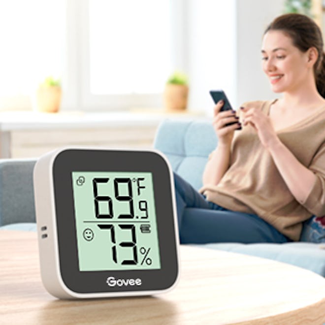 Govee Bluetooth Thermometer (2 Pack)