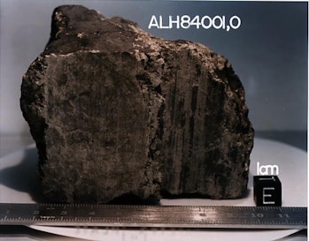 ALH 84001 meteorite